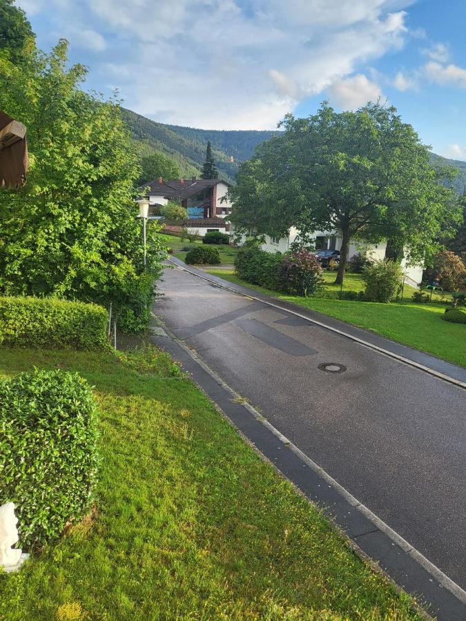 Ferienwohnung Freudenberg Freudenberg am Main Exteriör bild